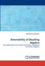 Amenability of Beurling Algebra. Amenability,Weak and 2-Weak Amenability of Weighted Convolution Algebras