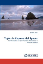 Topics in Exponential Spaces. Topologisation of special classes of subsets of a topological space