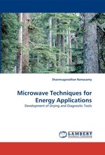 Microwave Techniques for Energy Applications. Development of Drying and Diagnostic Tools