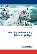 Matching and Morphing Freeform Surfaces. Research Thesis