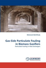Gas-Side Particulate Fouling in Biomass Gasifiers. Particulate Fouling in Heat Exchangers