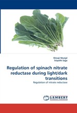 Regulation of spinach nitrate reductase during light/dark transitions. Regulation of nitrate reductase