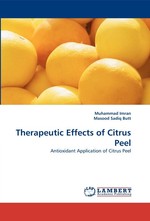 Therapeutic Effects of Citrus Peel. Antioxidant Application of Citrus Peel