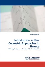 Introduction to New Geometric Approaches in Finance. With Applications on Credit and Bankruptcy Risk