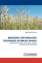 BREEDING FOR DROUGHT TOLERANCE IN BREAD WHEAT. Bread Wheat, Drought, Gene Action, Genetic Components and Heritability