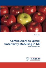 Contributions to Spatial Uncertainty Modelling in GIS. Small Sample Data
