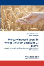 Mercury induced stress in wheat (Triticum aestivum L.) plants. Analysis of growth, oxidative damage and antioxidant defense system