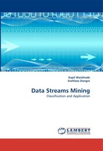 Data Streams Mining. Classification and Application