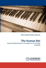 The Human Bat. Acoustic Representation of Images for the Visually Impaired