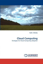 Cloud Computing. Strategies for Cloud Computing Adoption