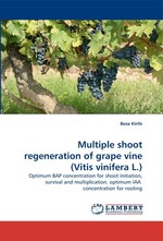 Multiple shoot regeneration of grape vine (Vitis vinifera L.). Optimum BAP concentration for shoot initiation, survival and multiplication. optimum IAA concentration for rooting