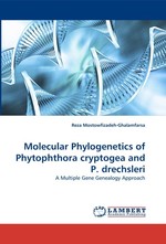 Molecular Phylogenetics of Phytophthora cryptogea and P. drechsleri. A Multiple Gene Genealogy Approach