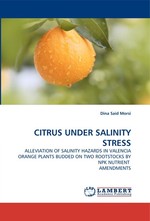 CITRUS UNDER SALINITY STRESS. ALLEVIATION OF SALINITY HAZARDS IN VALENCIA ORANGE PLANTS BUDDED ON TWO ROOTSTOCKS BY NPK NUTRIENT AMENDMENTS