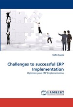 Challenges to successful ERP Implementation. Optimize your ERP Implementation