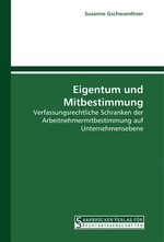 Eigentum und Mitbestimmung. Verfassungsrechtliche Schranken der Arbeitnehmermitbestimmung auf Unternehmensebene