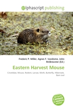 Eastern Harvest Mouse