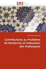 Contributions au Probl?me de Recherche et Indexation des Arabesques