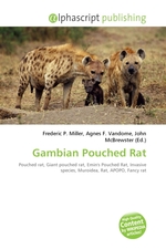 Gambian Pouched Rat