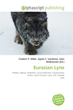 Eurasian Lynx