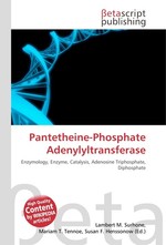 Pantetheine-Phosphate Adenylyltransferase