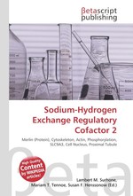 Sodium-Hydrogen Exchange Regulatory Cofactor 2