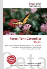 Forest Tent Caterpillar Moth