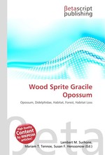 Wood Sprite Gracile Opossum