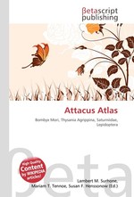 Attacus Atlas