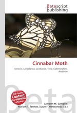 Cinnabar Moth