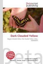 Dark Clouded Yellow