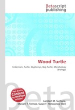 Wood Turtle