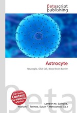 Astrocyte