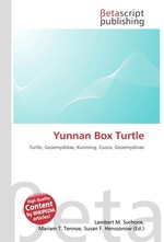 Yunnan Box Turtle