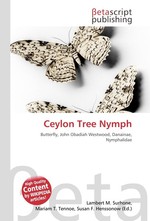 Ceylon Tree Nymph