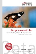 Atrophaneura Polla