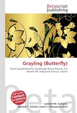 Grayling (Butterfly)