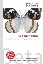 Cepora Nerissa