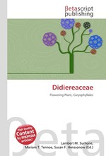 Didiereaceae