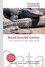 Broad-Snouted Caiman