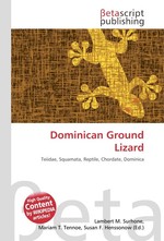 Dominican Ground Lizard