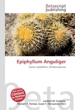 Epiphyllum Anguliger