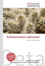 Echinomastus Johnsonii