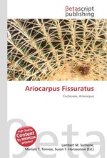 Ariocarpus Fissuratus