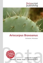 Ariocarpus Bravoanus