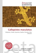 Callopistes maculatus