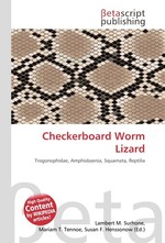 Checkerboard Worm Lizard