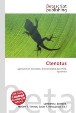 Ctenotus