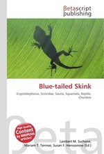 Blue-tailed Skink