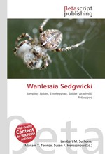 Wanlessia Sedgwicki