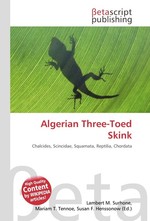 Algerian Three-Toed Skink